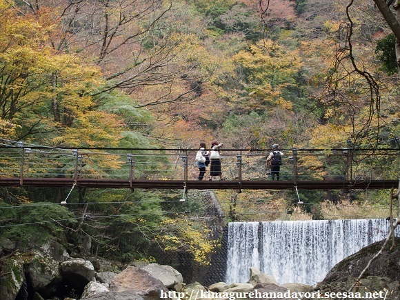 堂ヶ島遊歩道 花色フォトブック