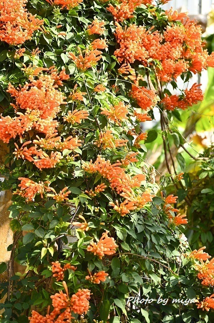 JGJd0326.jpg