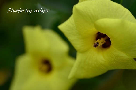 n}{E9892.jpg