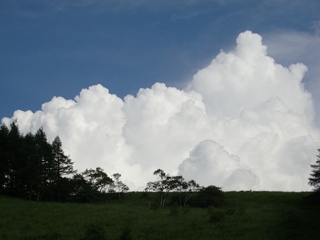 夏空450.jpg