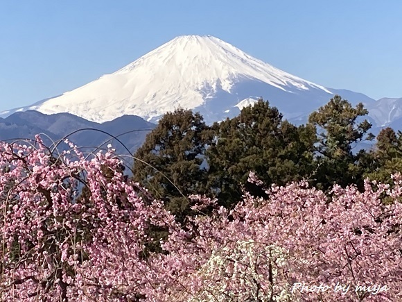 富士山0852.jpg