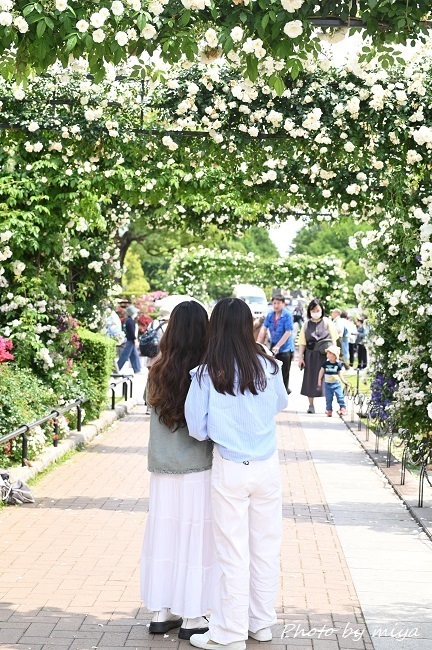 山下公園4275.jpg