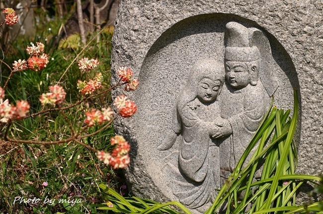 常泉寺2260.jpg