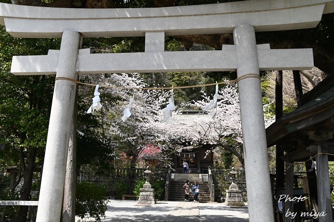 御霊神社2622.jpg