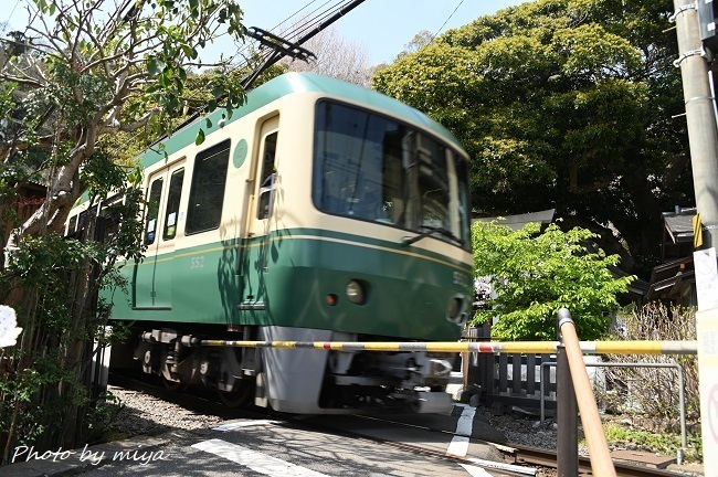 江ノ電2621.jpg