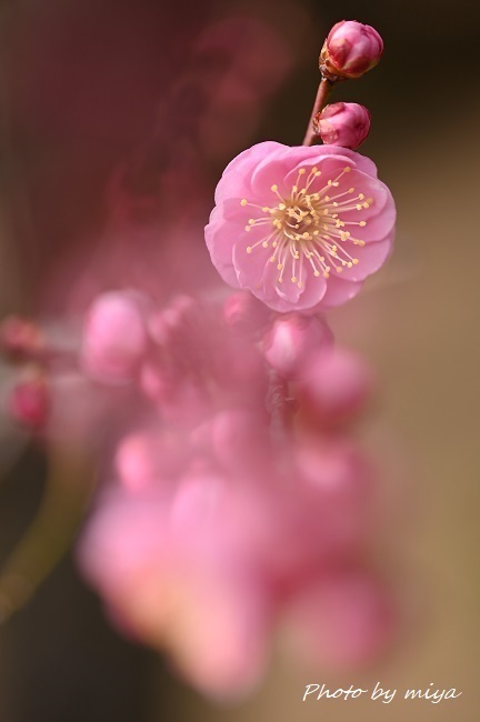g~0845i2j.jpg